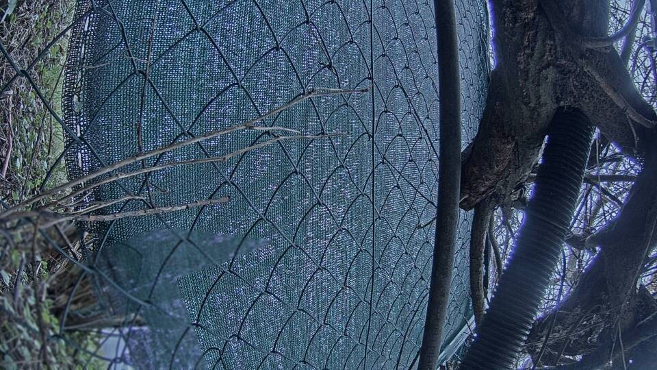 Archiv Foto Webcam Blick auf den Fuschlsee von Ebners Waldhof