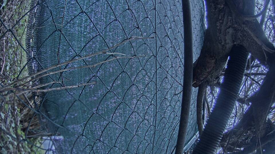 Archiv Foto Webcam Blick auf den Fuschlsee von Ebners Waldhof