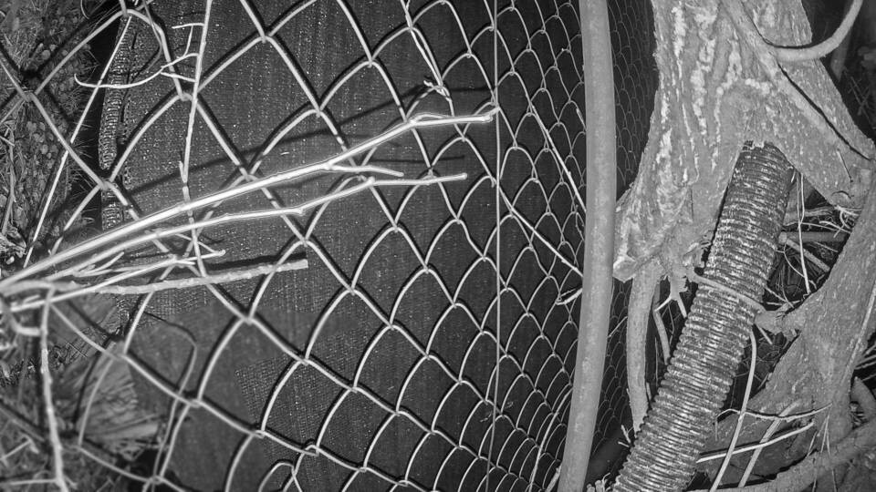 Archiv Foto Webcam Blick auf den Fuschlsee von Ebners Waldhof