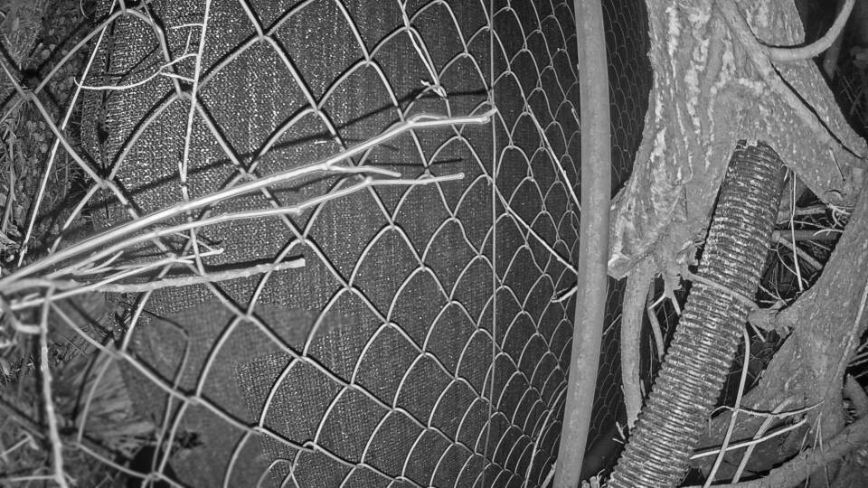 Archiv Foto Webcam Blick auf den Fuschlsee von Ebners Waldhof