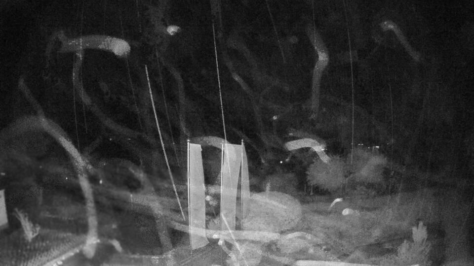 Archiv Foto Webcam Blick auf den Fuschlsee von Ebners Waldhof