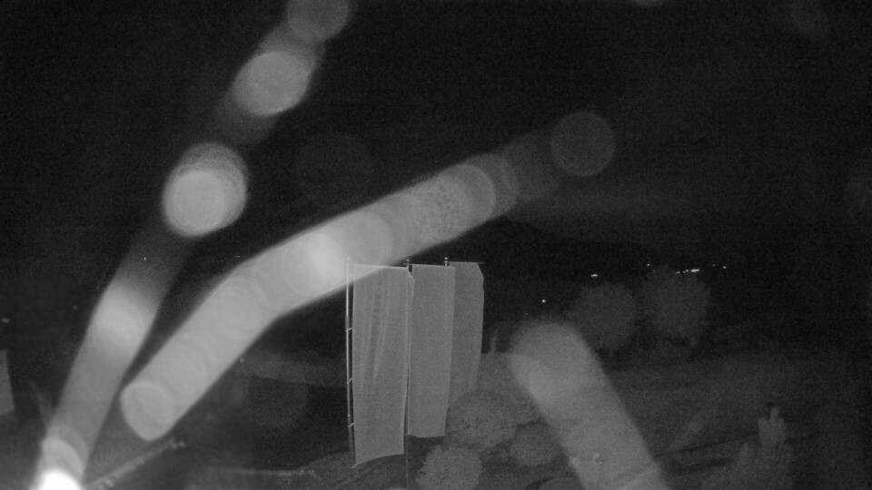 Archiv Foto Webcam Blick auf den Fuschlsee von Ebners Waldhof