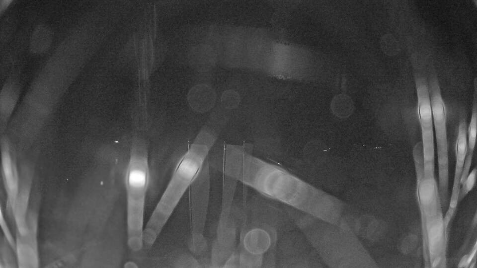 Archiv Foto Webcam Blick auf den Fuschlsee von Ebners Waldhof