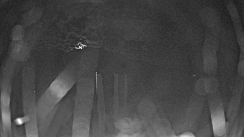 Archiv Foto Webcam Blick auf den Fuschlsee von Ebners Waldhof