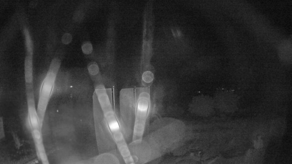 Archived image Webcam View Lake Fuschlsee