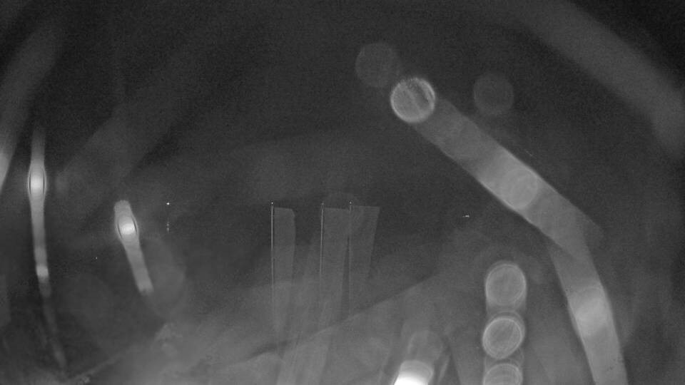 Archiv Foto Webcam Blick auf den Fuschlsee von Ebners Waldhof