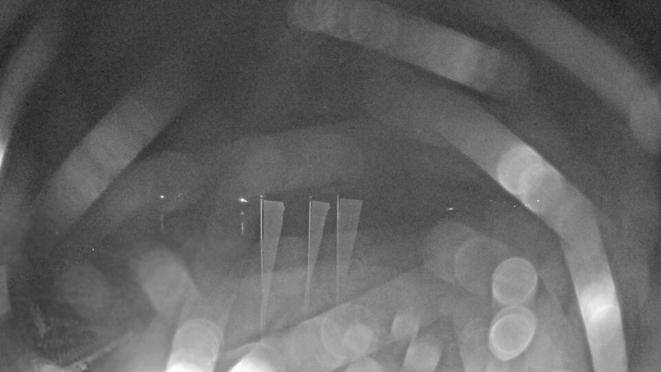 Archiv Foto Webcam Blick auf den Fuschlsee von Ebners Waldhof