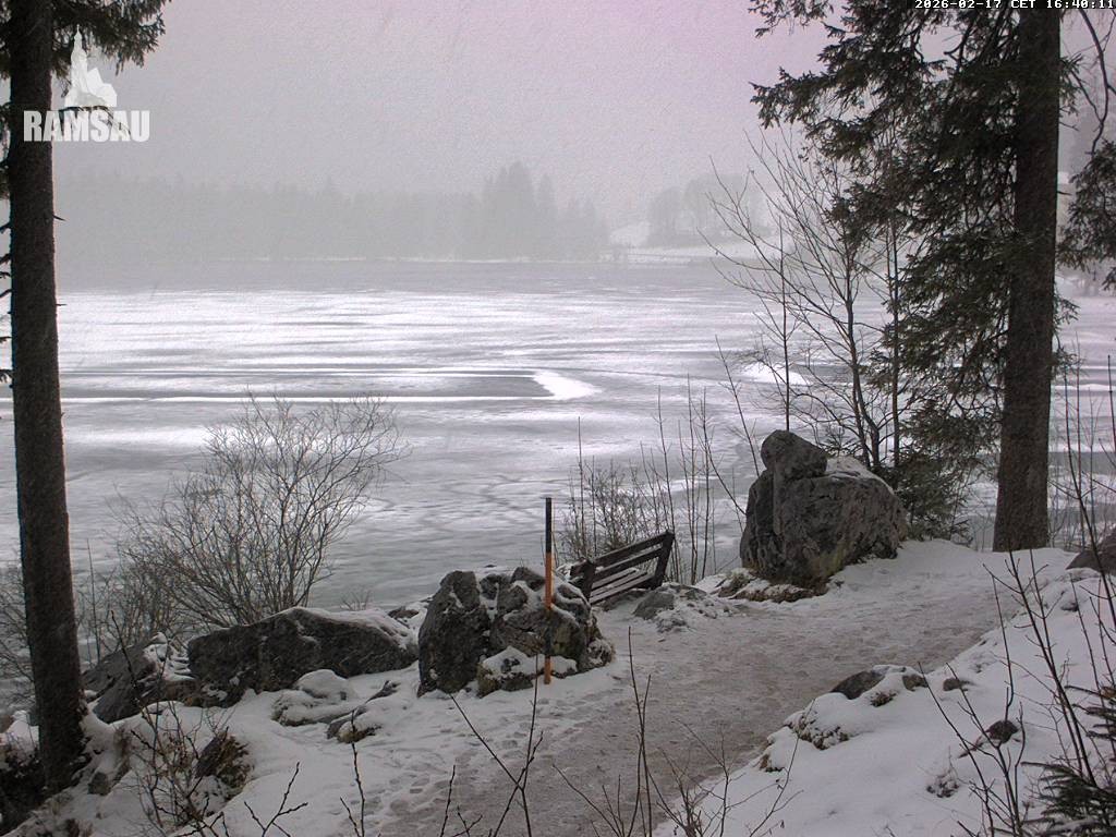 Archiv Foto Webcam Luitpoldweg am Hintersee in Ramsau bei Berchtesgaden