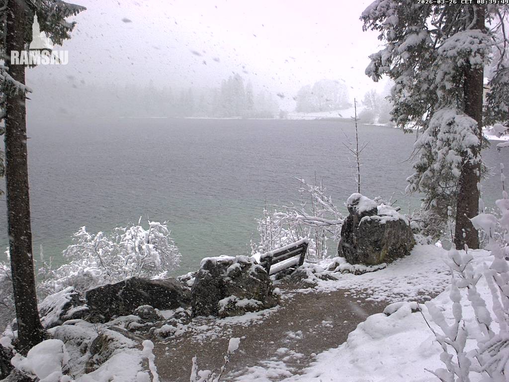 Archived image Webcam Luitpoldweg at lake Hintersee near Ramsau