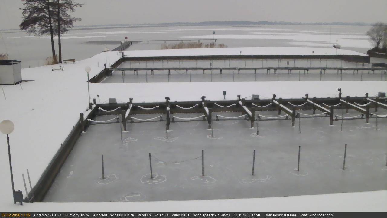 Archiv Foto Webcam Lembruch: Segler-Club Dümmer See