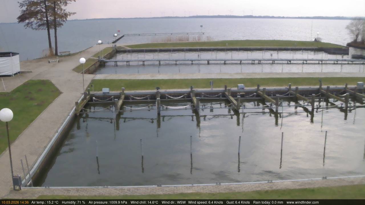 Archiv Foto Webcam Lembruch: Segler-Club Dümmer See