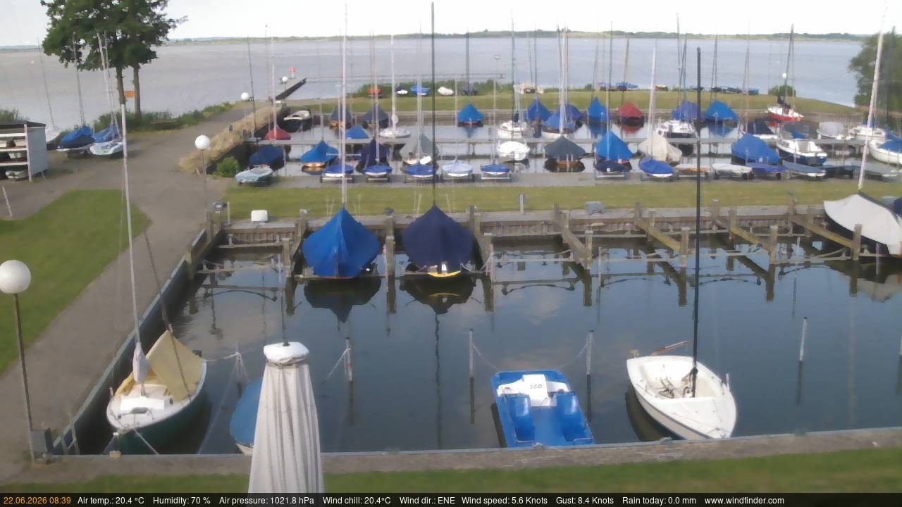 Archiv Foto Webcam Lembruch: Segler-Club Dümmer See