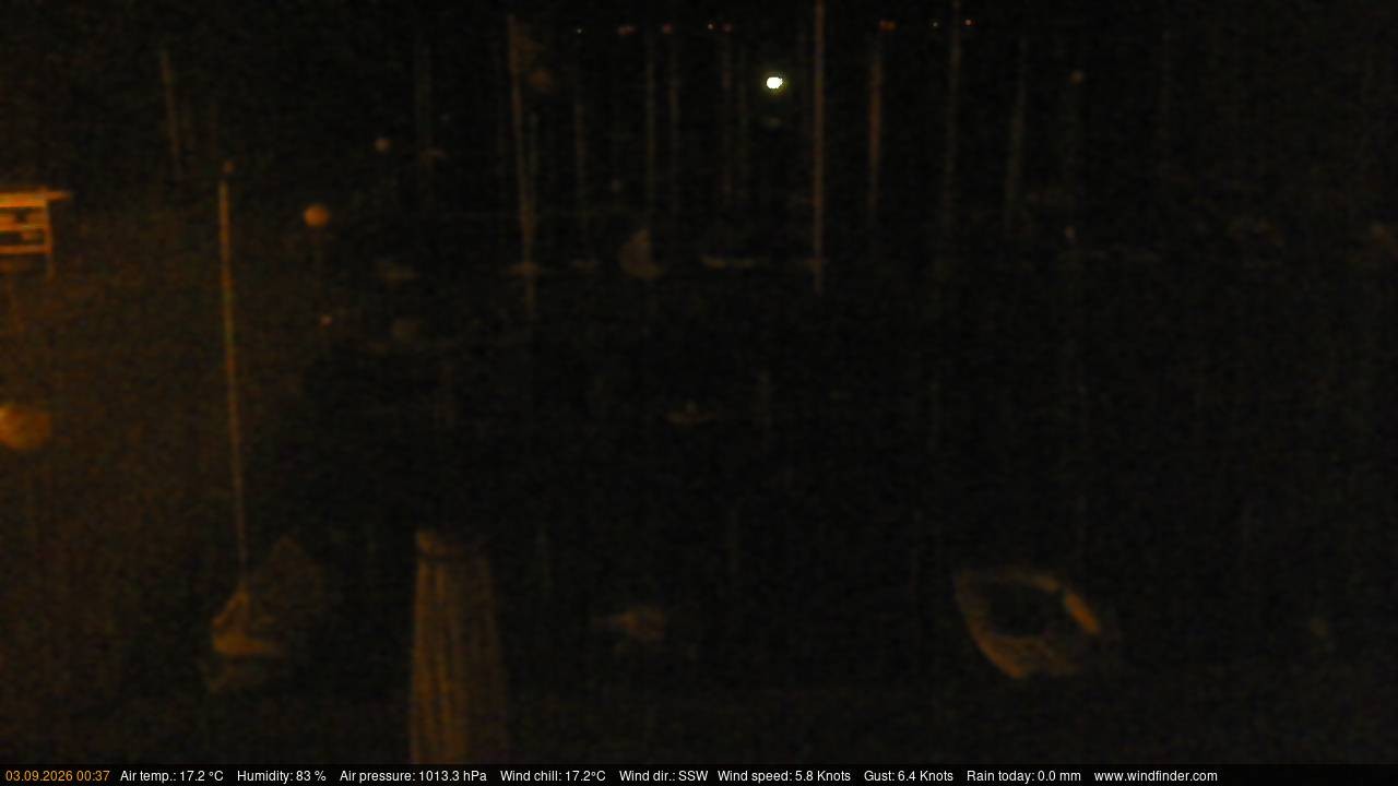 Archiv Foto Webcam Lembruch: Segler-Club Dümmer See