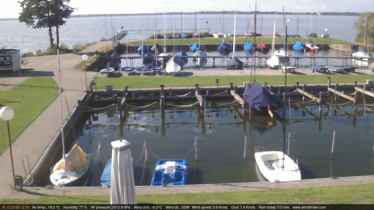 Archiv Foto Webcam Lembruch: Segler-Club Dümmer See