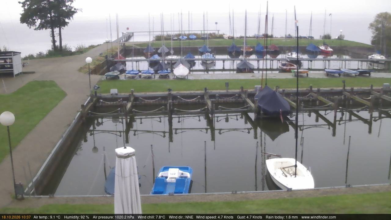 Archiv Foto Webcam Lembruch: Segler-Club Dümmer See