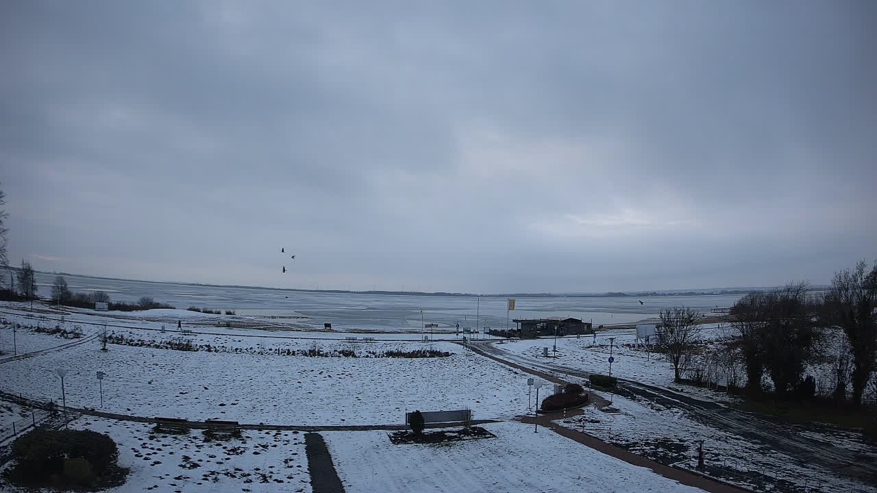 Archiv Foto Webcam Dümmerhotel Strandlust in Lembruch