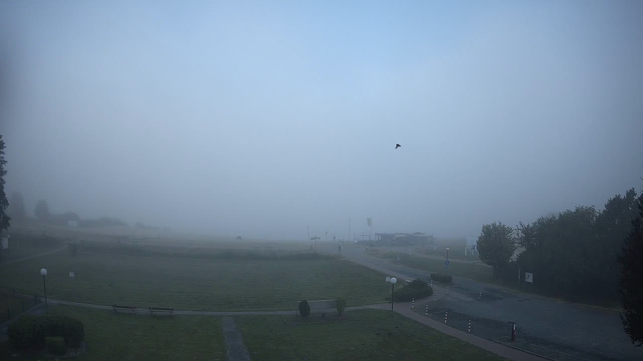 Archiv Foto Webcam Dümmerhotel Strandlust in Lembruch