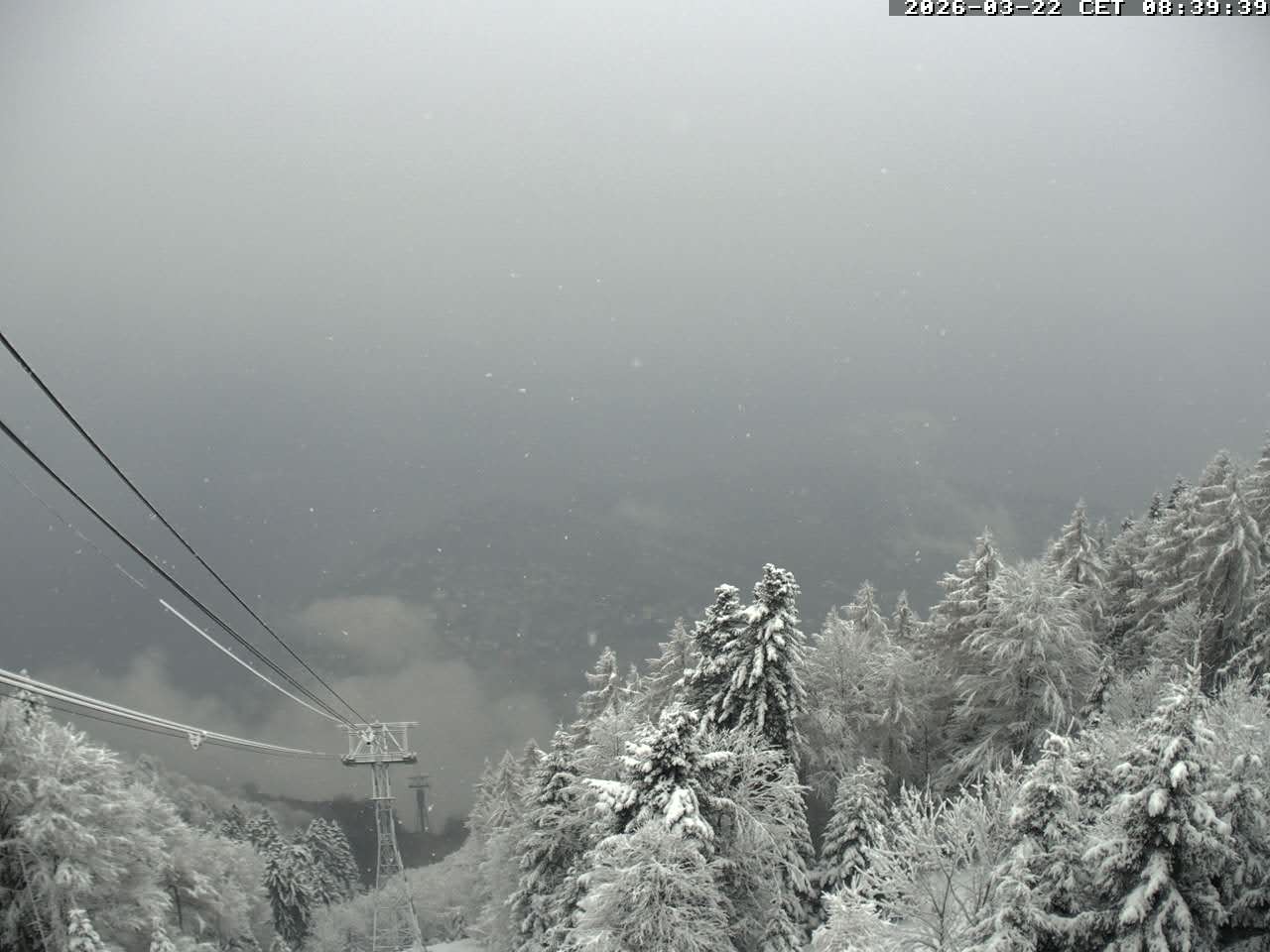 Archiv Foto Webcam Cardada: Blick Seilbahn