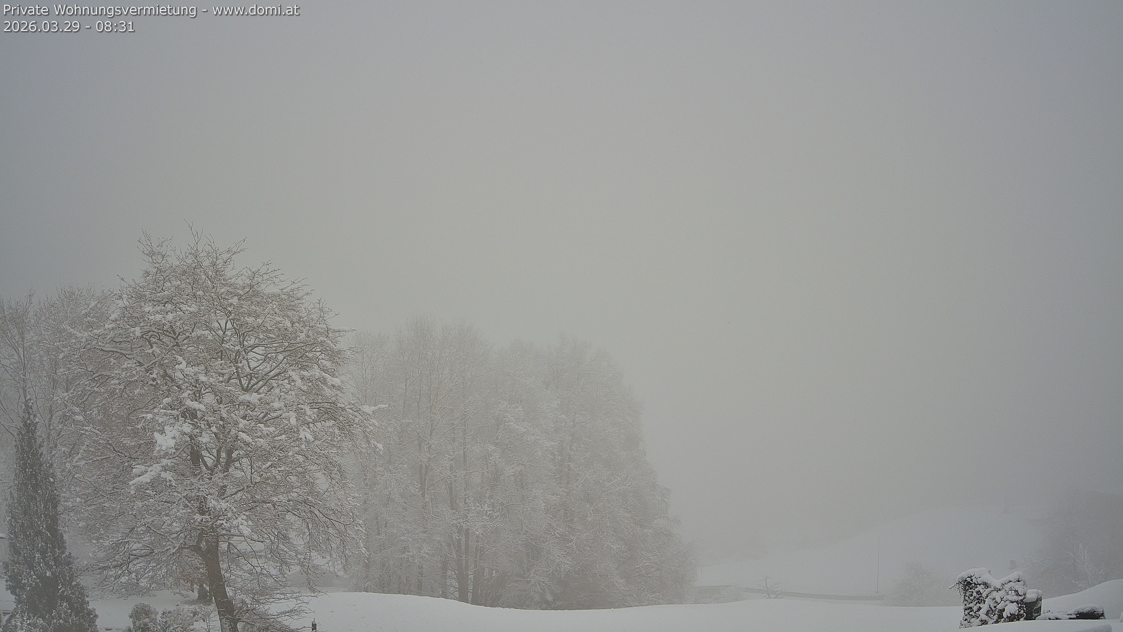 Archived image Webcam View of Frastanz in Vorarlberg (Austria)