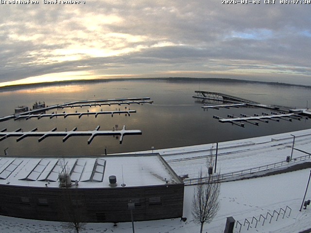 Archiv Foto Webcam Blick auf den Stadthafen und den Senftenberger See