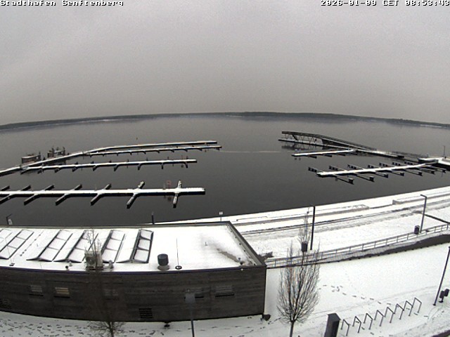 Archiv Foto Webcam Blick auf den Stadthafen und den Senftenberger See