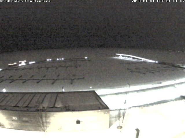 Archiv Foto Webcam Blick auf den Stadthafen und den Senftenberger See