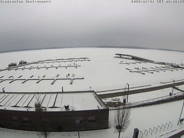 Archiv Foto Webcam Blick auf den Stadthafen und den Senftenberger See