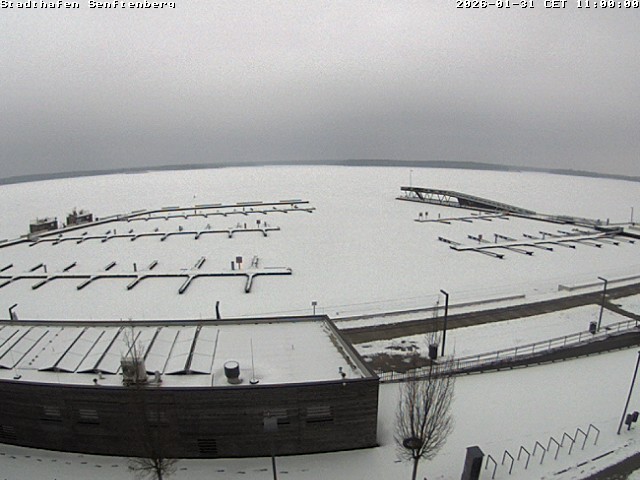 Archiv Foto Webcam Blick auf den Stadthafen und den Senftenberger See