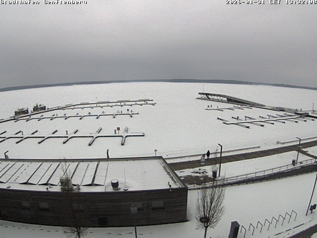 Archiv Foto Webcam Blick auf den Stadthafen und den Senftenberger See