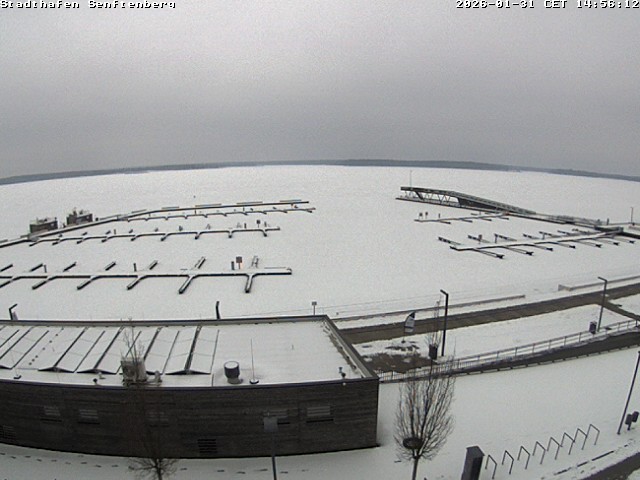 Archiv Foto Webcam Blick auf den Stadthafen und den Senftenberger See