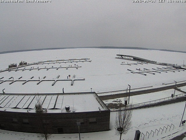 Archiv Foto Webcam Blick auf den Stadthafen und den Senftenberger See