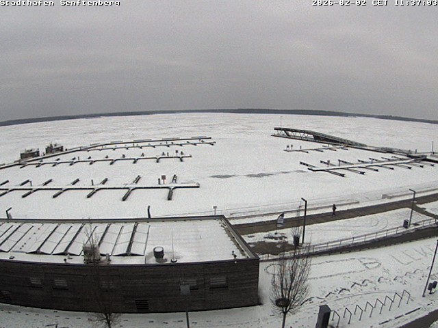 Archiv Foto Webcam Blick auf den Stadthafen und den Senftenberger See