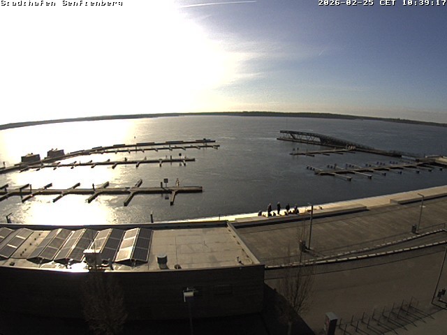 Archiv Foto Webcam Blick auf den Stadthafen und den Senftenberger See