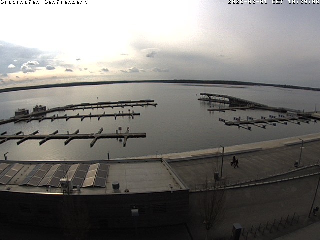 Archiv Foto Webcam Blick auf den Stadthafen und den Senftenberger See