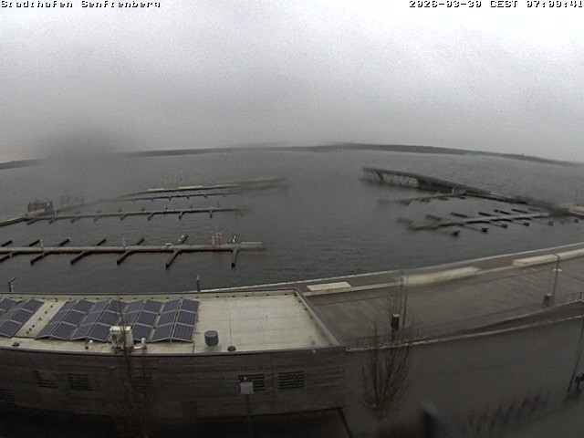 Archiv Foto Webcam Blick auf den Stadthafen und den Senftenberger See