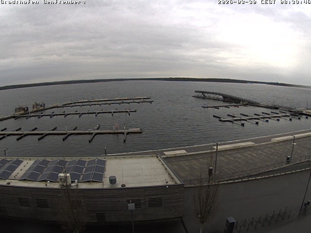 Archiv Foto Webcam Blick auf den Stadthafen und den Senftenberger See