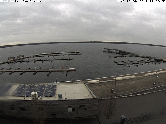 Archiv Foto Webcam Blick auf den Stadthafen und den Senftenberger See