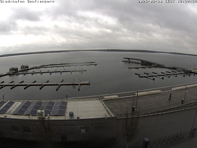 Archiv Foto Webcam Blick auf den Stadthafen und den Senftenberger See