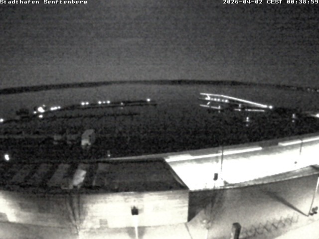 Archiv Foto Webcam Blick auf den Stadthafen und den Senftenberger See