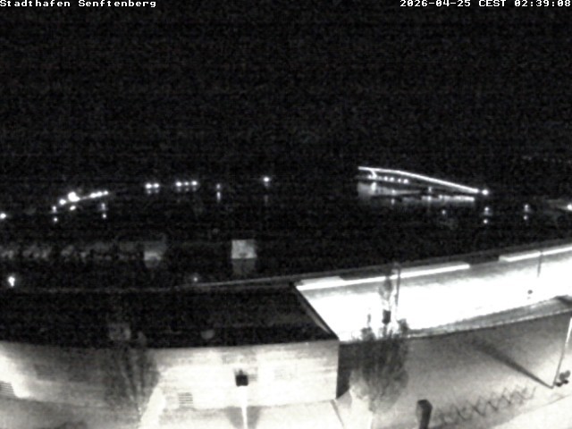 Archiv Foto Webcam Blick auf den Stadthafen und den Senftenberger See