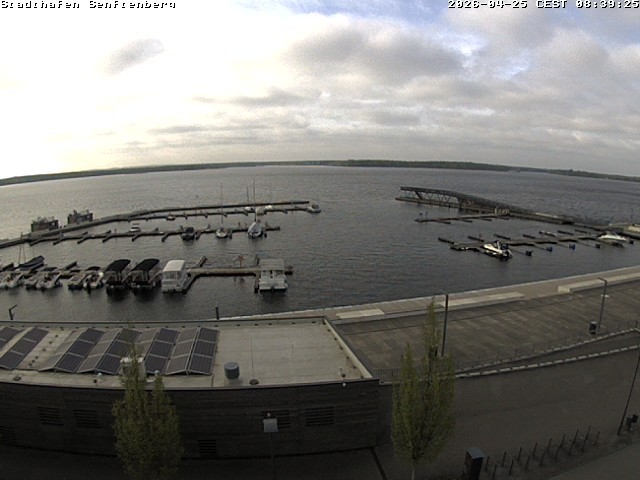 Archiv Foto Webcam Blick auf den Stadthafen und den Senftenberger See