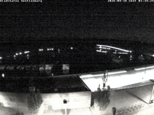 Archiv Foto Webcam Blick auf den Stadthafen und den Senftenberger See
