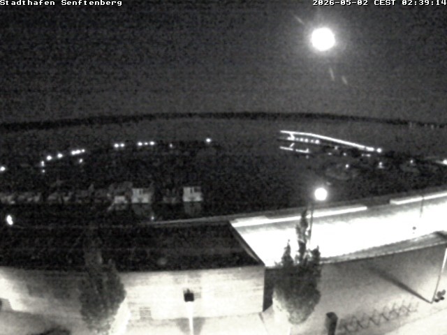 Archiv Foto Webcam Blick auf den Stadthafen und den Senftenberger See