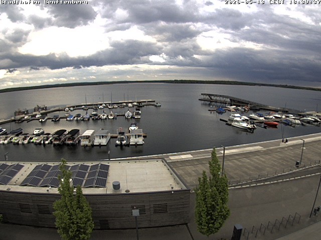 Archived image Webcam Senftenberger See - Lusatian Lakeland