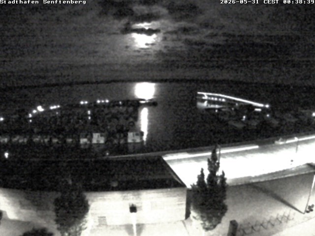 Archiv Foto Webcam Blick auf den Stadthafen und den Senftenberger See