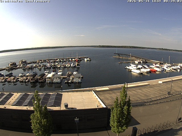 Archiv Foto Webcam Blick auf den Stadthafen und den Senftenberger See