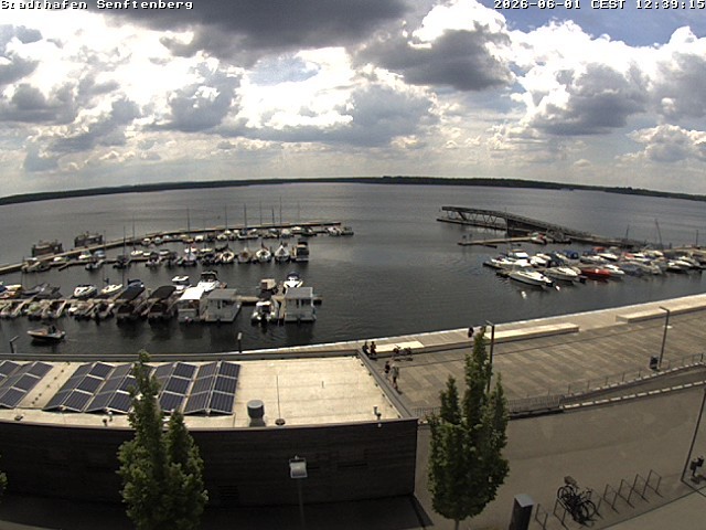 Archiv Foto Webcam Blick auf den Stadthafen und den Senftenberger See