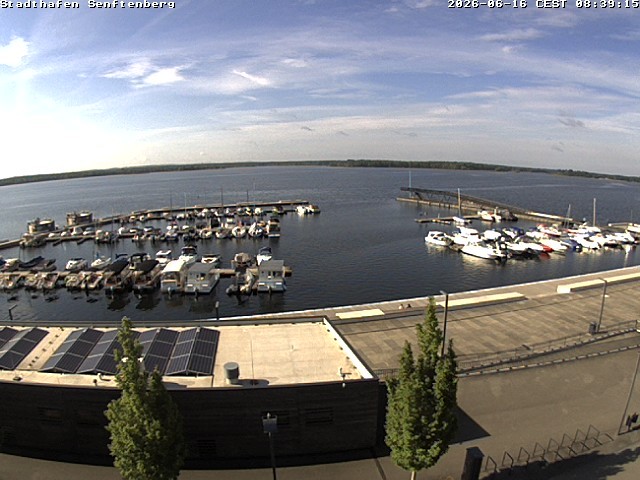 Archiv Foto Webcam Blick auf den Stadthafen und den Senftenberger See