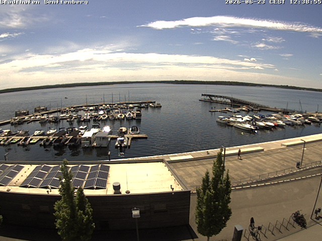 Archiv Foto Webcam Blick auf den Stadthafen und den Senftenberger See