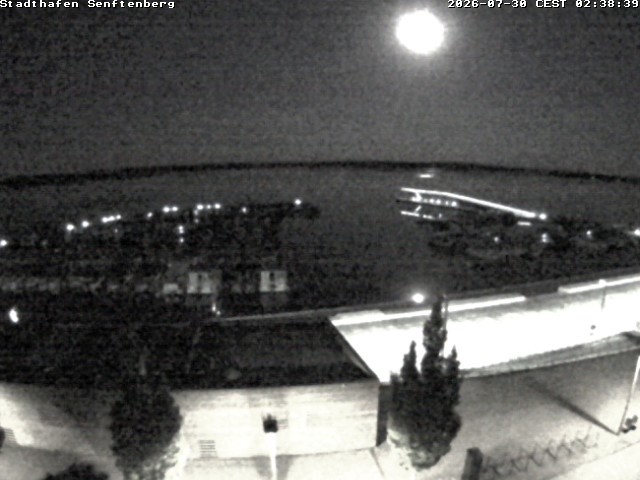 Archiv Foto Webcam Blick auf den Stadthafen und den Senftenberger See